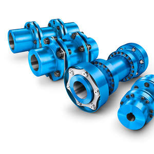 ARPEX All-Steel Coupling