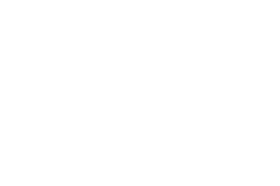 Consulting